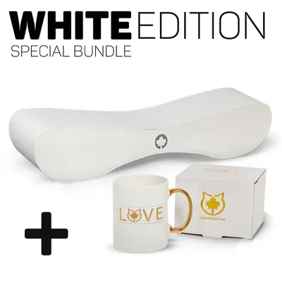 Canadian Cat Company Kratzbrett SATELLITE 2.0 & LOVE-Tasse Canadian Cat Company Kratzbrett SATELLITE 2.0 & LOVE-Tasse