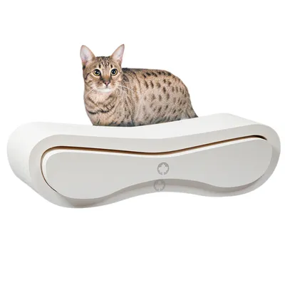 Canadian Cat Company Kratzbrett Set ORBIT + SATELLITE 2.0 Canadian Cat Company Kratzbrett Set ORBIT + SATELLITE 2.0