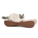 Canadian Cat Company Kratzbrett SATELLITE Kratzpappe