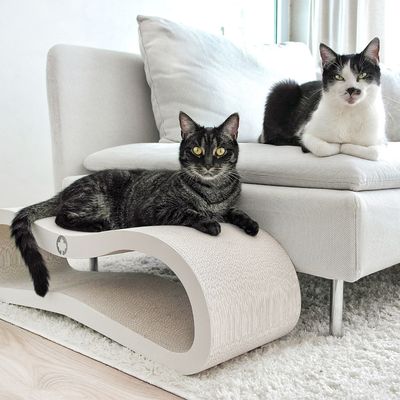 Canadian Cat Company Kratzbrett ORBIT Kratzpappe