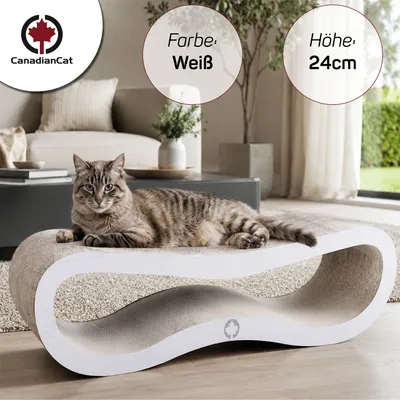 Canadian Cat Company Kratzbrett ORBIT Kratzpappe