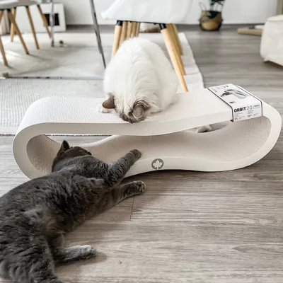 Canadian Cat Company Kratzbrett ORBIT Kratzpappe