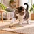 Canadian Cat Company Katzenspielzeug aus Matatabi mit Baststreifen Canadian Cat Company Katzenspielzeug aus Matatabi mit Baststreifen