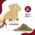Canadian Cat Company Spielkissen aus Leder mit Katzenminze Canadian Cat Company Spielkissen aus Leder mit Katzenminze