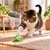 Canadian Cat Company Katzenspielzeug aus Matatabi und Filz Raupe auf Blatt Canadian Cat Company Katzenspielzeug aus Matatabi und Filz Raupe auf Blatt
