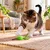 Canadian Cat Company Katzenspielzeug aus Matatabi Stick