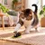 Canadian Cat Company Katzenspielzeug aus Matatabi und Filz Raupe auf Blatt Canadian Cat Company Katzenspielzeug aus Matatabi und Filz Raupe auf Blatt