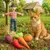 Canadian Cat Company 6er-Set Spielkissen Obst Gemüse & Vogelscheuche Catnip Canadian Cat Company 6er-Set Spielkissen Obst Gemüse & Vogelscheuche Catnip