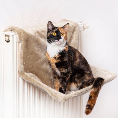 Canadian Cat Company Liegemulde für Heizkörper
