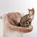 Canadian Cat Company Kuschelsack für Heizkörper