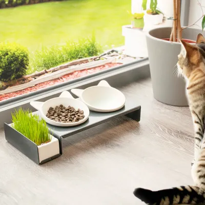 Canadian Cat Company Ersatzteil für Foodbar CAT DINER