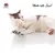 Canadian Cat Company Spielkissen mit Katzenminze Canadian Cat Company Spielkissen mit Katzenminze