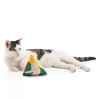 Canadian Cat Company Schmusekissen 6er-Set Katzenminze Pyramide XL Canadian Cat Company Schmusekissen 6er-Set Katzenminze Pyramide XL