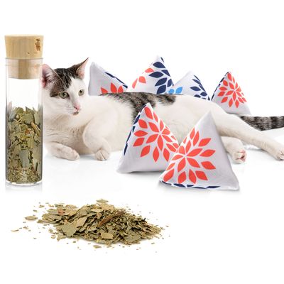Canadian Cat Company Schmusekissen 6er-Set Katzenminze Pyramide XL