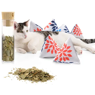 Canadian Cat Company Schmusekissen 6er-Set Katzenminze Pyramide XL