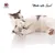 Canadian Cat Company Spielkissen mit Katzenminze Canadian Cat Company Spielkissen mit Katzenminze