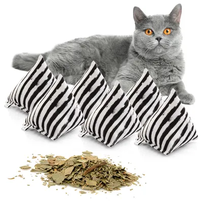 Canadian Cat Company Schmusekissen 6er-Set Katzenminze Pyramide XL