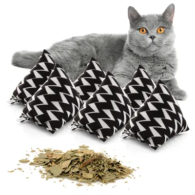 Canadian Cat Company Schmusekissen 6er-Set Katzenminze Pyramide XL