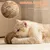 Fukumaru Intelligente Katzenball für geistige Stimulation