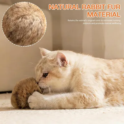 Fukumaru Intelligente Katzenball für geistige Stimulation
