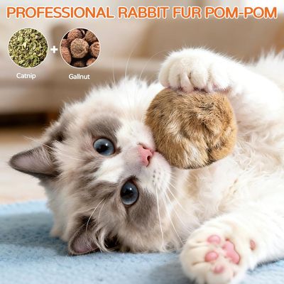 Fukumaru Intelligente Katzenball für geistige Stimulation