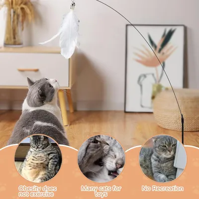 Fukumaru Interaktives Katzenspielzeug mit Angel und Feder Fukumaru Interaktives Katzenspielzeug mit Angel und Feder