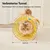 Yiankon Chat Tunnel Spirale 51 cm avec Plume