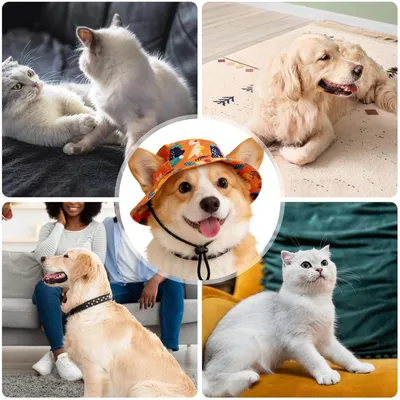 Fukumaru Chapeau de soleil pour chien, trous d’oreilles, anti-UV