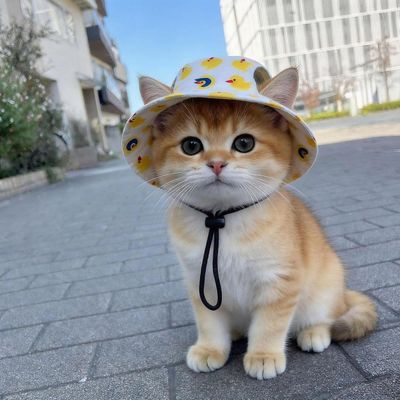 Fukumaru Sonnenvisier für Hunde und Katzen, mit Ohrlöchern