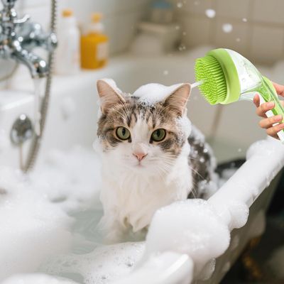 Yiankon Brosse bain chien distributeur 2-en-1 mousse