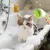 Yiankon Brosse bain chien distributeur 2-en-1 mousse