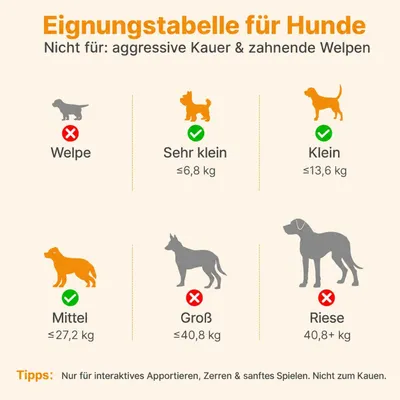 Yiankon Hundespielzeug Ente mit Quietscher