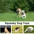 Fukumaru Lot de 16 peluches chien bruissantes à mordre Fukumaru Lot de 16 peluches chien bruissantes à mordre