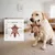 Yiankon Hundespielzeug quietschendes Seilknoten Yiankon Hundespielzeug quietschendes Seilknoten