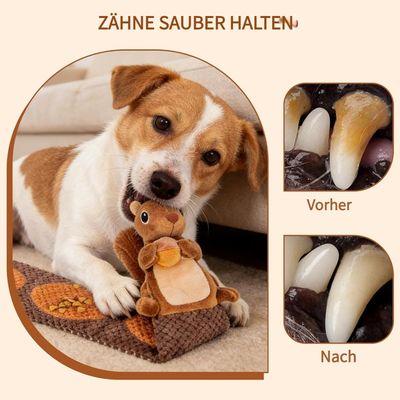 Fukumaru Peluches chien bruissantes sans garniture Design forme d'écureuil
