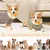 Fukumaru Jouet chien indestructible pluche avec papier froissé Fukumaru Jouet chien indestructible pluche avec papier froissé