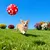 Fukumaru Lot de 4 jouets Noël chien avec boules en peluche Fukumaru Lot de 4 jouets Noël chien avec boules en peluche