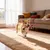 Fukumaru Lot de 4 jouets Noël chien avec boules en peluche Fukumaru Lot de 4 jouets Noël chien avec boules en peluche