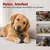 Yiankon Hund Kauspielzeug Aus hartem Design in Knochenform