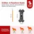 Yiankon Hund Kauspielzeug Aus hartem Design in Knochenform