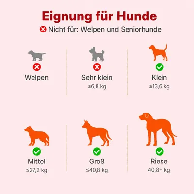 Yiankon Hund Kauspielzeug Aus hartem Design in Knochenform
