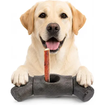 Yiankon Jouet à Mâcher pour Chien Forme Os Porte-Friandise