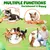 Fukumaru Jouets chien indestructibles avec bruisseur durable