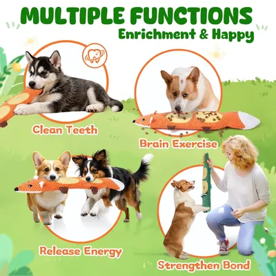 Fukumaru Jouets chien indestructibles avec bruisseur durable