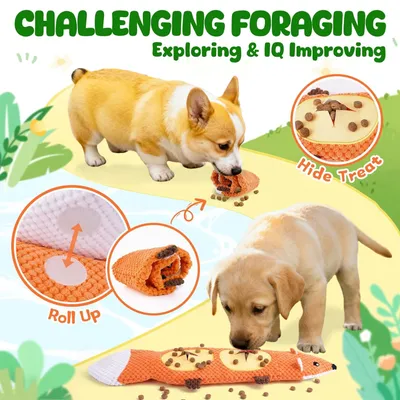Fukumaru Jouets chien indestructibles avec bruisseur durable