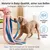 Yiankon Jouet Chien Pieuvre Peluche Couineur 100 cm Yiankon Jouet Chien Pieuvre Peluche Couineur 100 cm