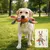 Yiankon Hundespielzeug Set Hund und Elefant Yiankon Hundespielzeug Set Hund und Elefant
