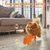 Fukumaru Peluche chien à roulette automatique avec bruisseur Fukumaru Peluche chien à roulette automatique avec bruisseur