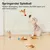 Yiankon Katzenangel Saugnapf Set, 2 Angeln, 5 Feder und Ballanhänger Yiankon Katzenangel Saugnapf Set, 2 Angeln, 5 Feder und Ballanhänger