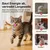Yiankon Katzenangel Saugnapf Set, 2 Angeln, 5 Feder und Ballanhänger Yiankon Katzenangel Saugnapf Set, 2 Angeln, 5 Feder und Ballanhänger